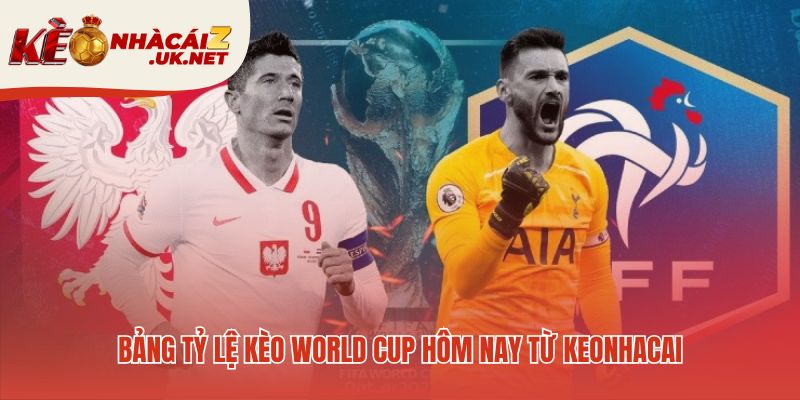 Bảng tỷ lệ kèo tổng hợp các lựa chọn cược phổ biến