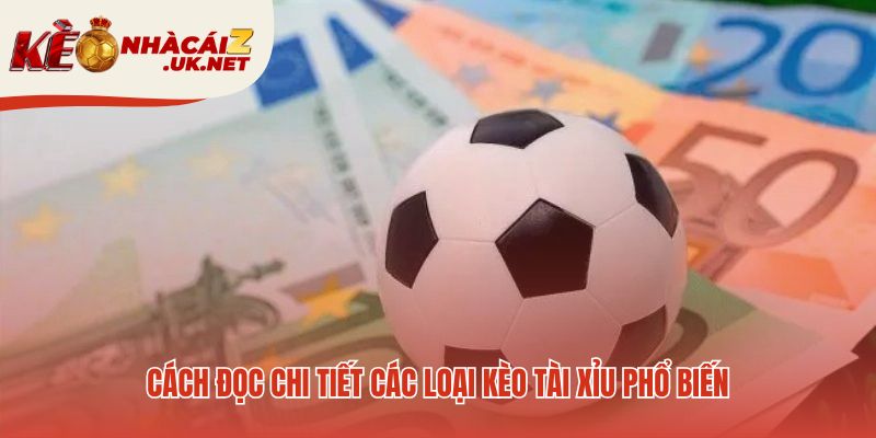 Các loại kèo tài xỉu quyết định thắng đủ thua đủ hay nửa tiền