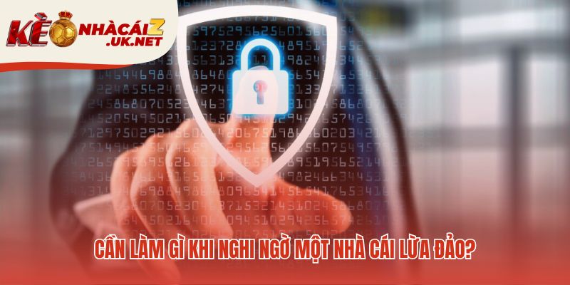 Hành động dứt khoát khi phát hiện dấu hiệu nhà cái lừa đảo