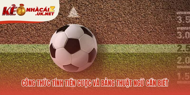 Hiểu rõ thuật ngữ cá cược cùng công thức tính tiền thắng