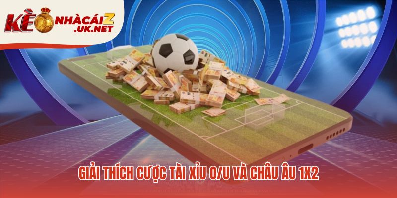 Cách đọc kèo bóng đá cơ bản với kèo O/U và 1X2