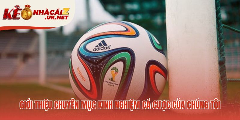 Kiến thức cá cược độc quyền được chuyên gia kiểm chứng