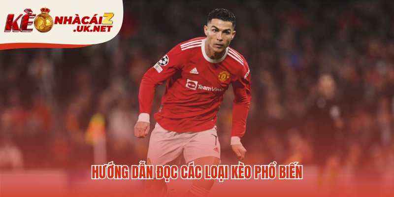 Cẩm nang giải mã những loại kèo phổ biến nhất cho người mới