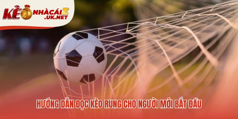 Đọc kèo rung giải mã ngôn ngữ ký hiệu và các con số