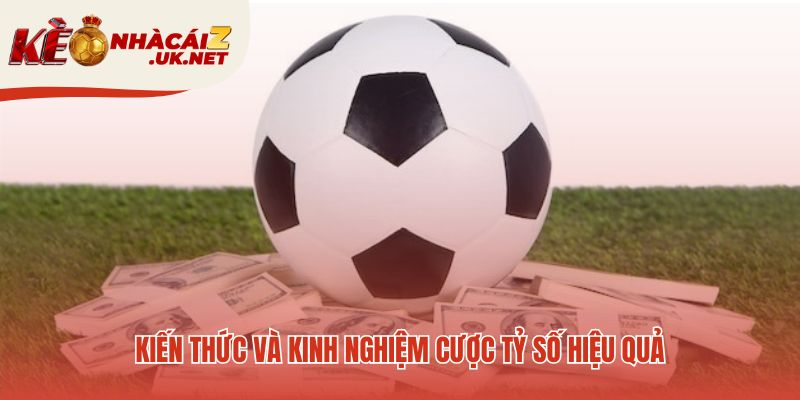 Kinh nghiệm cược hiệu quả bắt đầu từ những kiến thức cơ bản
