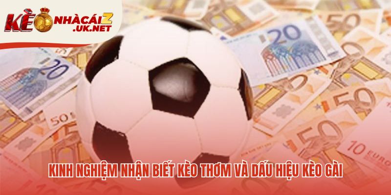 Kinh nghiệm cá độ bóng đá giúp phân biệt kèo thơm và kèo gài