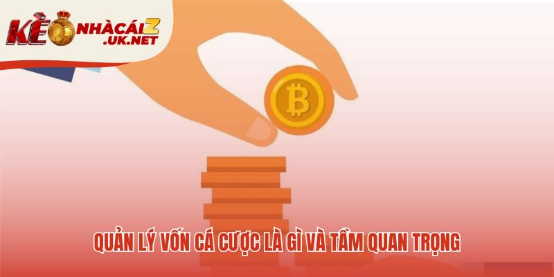 Quản lý vốn cá cược quyết định thành bại dài hạn