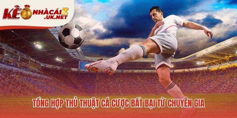 Thủ thuật cá cược thực chiến từ kinh nghiệm chuyên gia